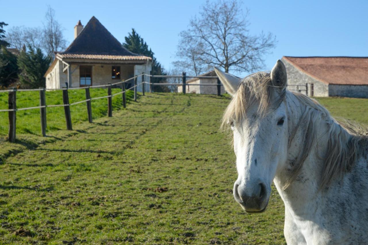 Chez Jacquou Villa Bouniagues Dış mekan fotoğraf